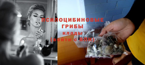 кокс Гусев