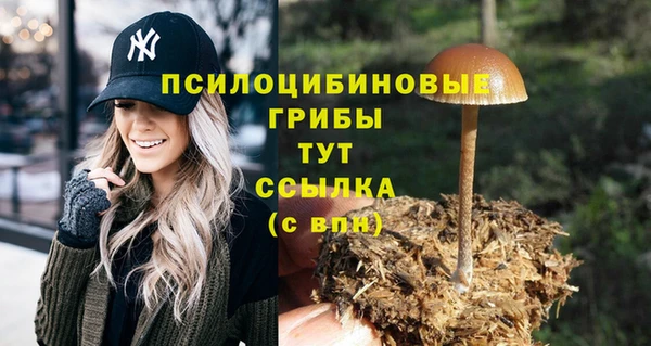 кокс Гусев