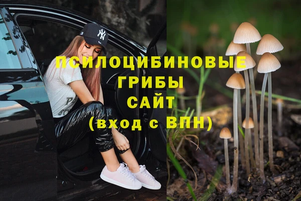 марки nbome Гусиноозёрск