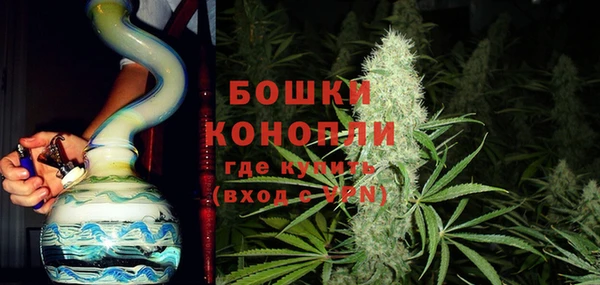 кокс Гусев