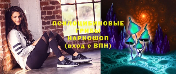 стафф Гусь-Хрустальный