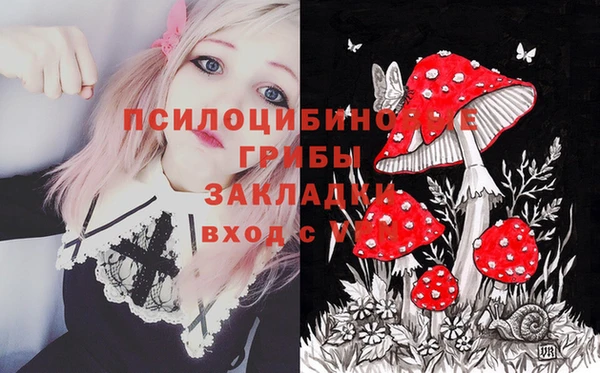 стафф Гусь-Хрустальный