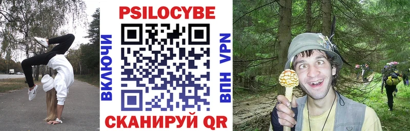 Псилоцибиновые грибы Cubensis  Оренбург 